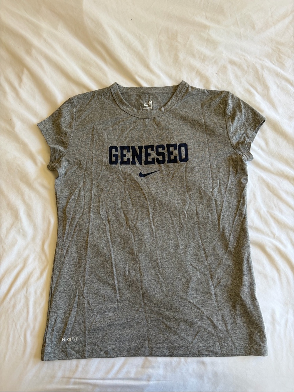 Nike Gray Heather GENESEO Dri-FIT Team Tee